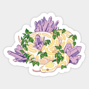 yellow morph ball python amongst amethyst crystals and pothos plant design Sticker